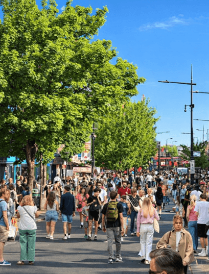 Mature tree welfare.png